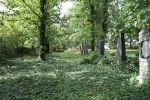 Zalužany - Reste des jüdischen Friedhofs